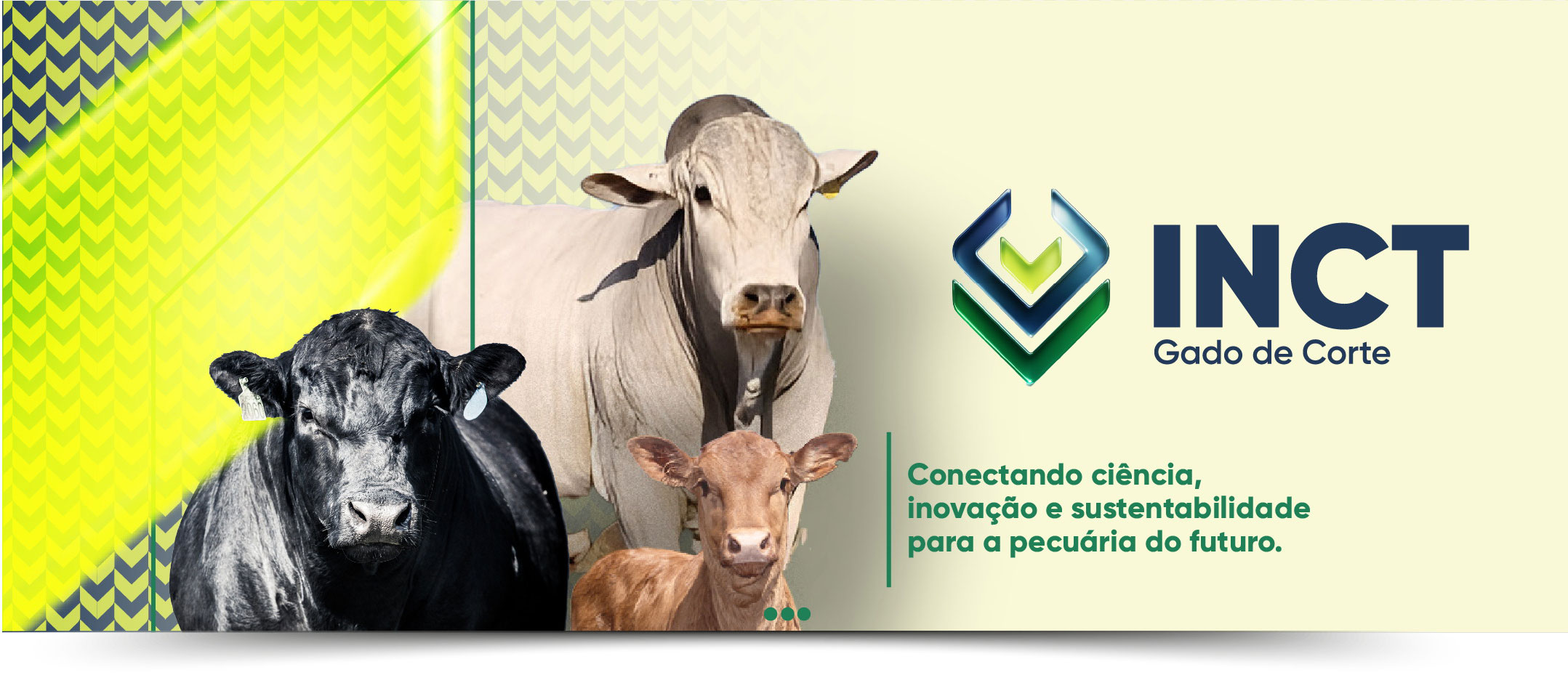 Conectando ciência, inovação e sustentabilidade para a pecuária do futuro.